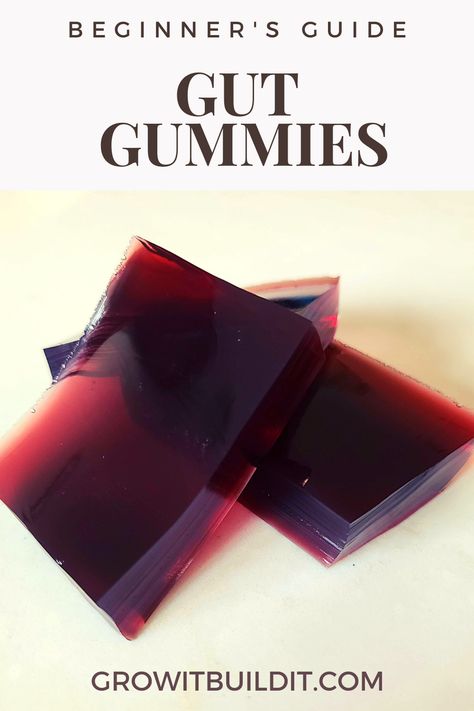 Collagen Fruit Snacks, Cherry Gelatin Gummies, Vitamin Gummies Homemade, Making Gummies With Gelatin, Gelatine Recipes Healthy, Gelatin Gut Gummies, Gut Healthy Gummies, Gelatin Juice Gummies, Gelatin Gummies Recipe