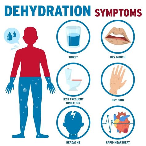 Dehydration facts Dehydration Symptoms, Essential Oils For Pregnancy, Spine Health, Feminine Health, Human Body Systems, Herbs For Health, Herbalife Nutrition, Encouraging Scripture, Medical Knowledge