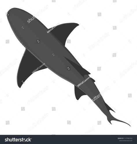 Top view on isoalted on white vector wild shark of grey colors. Vector animals of the sea or ocean #Ad , #SPONSORED, #white#vector#wild#Top Great White Shark Top View, Island Reference, Lighthouse Island, Vector Animals, Street Mural, Great White Shark, Great White, Top View, Lighthouse