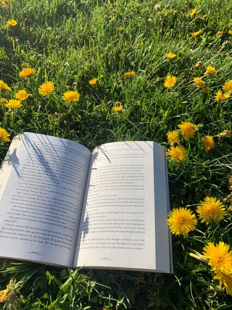 Summer Journaling Aesthetic, Outdoor Reading Aesthetic, Read Outside, Reading In Nature Aesthetic, Reading In The Summer, Reading Aesthetic Summer, Outside Aesthetic Day, Book Summer Aesthetic, Reading Outside Aesthetic