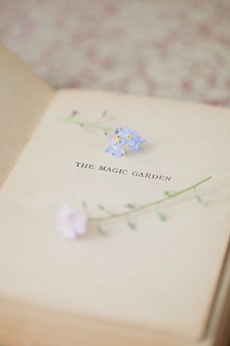 Untitled | Loreta | Flickr Pastel Academia, An Open Book, Magic Garden, + Core + Aesthetic, Open Book, Foto Inspiration, Forget Me Not, Pastel Aesthetic, Book Photography