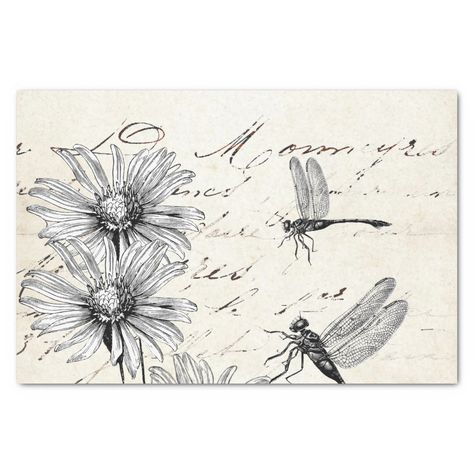 Parchment Paper Background, Botanical Images, Decoupage Projects, Field Of Wildflowers, Paper Clip Art, Decoupage Papers, Paper Decoupage, Dragonfly Design, Dragon Flies