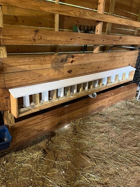 Goat Mineral Buffet, Mineral Buffet For Goats, Goat House, Farm Life, Goats, Animals