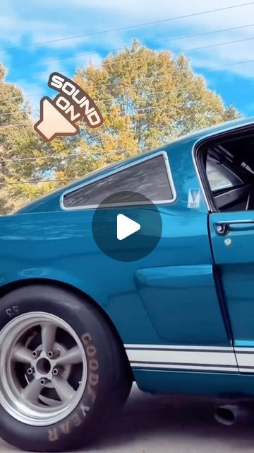 Kelsey on Instagram: "Does anyone know who owns this fastback? I love the wheels, exhaust, stance, sound, and color…perfect! I’d like to follow the actual owner so let me know. Thanks #mustangfastback #fastbackmustang #65mustang #1965mustang #66mustang #1966mustang #65mustangfastback #1965mustangfastback #66mustangfastback #1966mustangfastback #65fordmustang #1965fordmustang #66fordmustang #1966fordmustang  #gt350 #gt350h #gt350only #gt350mustang #gt350shelby #shelbygt350 #shelby" 65 Mustang Fastback, 1966 Mustang Fastback, 1966 Mustang Gt, Mustang 65, 66 Ford Mustang, 66 Mustang, 65 Mustang, 1965 Mustang, 1966 Ford Mustang