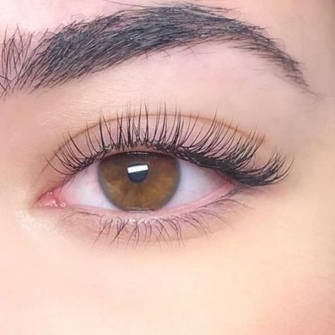 Natural Looking Eyelash Extensions, Eyelash Extensions Classic, Natural Fake Eyelashes, Lash Extentions, Lashes Fake Eyelashes, Natural False Lashes, Eyelash Extensions Styles, Lash Extensions Styles, Perfect Eyelashes