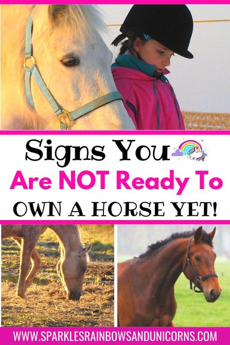 Horse Tail Ribbon Meanings, How To Tack Up A Horse English, New Horse Owner Checklist, Things To Know About Horses, Things To Do With Horses, Horse Life Hacks, How To Train A Horse, Owning A Horse For The First Time, How To Take Care Of A Horse