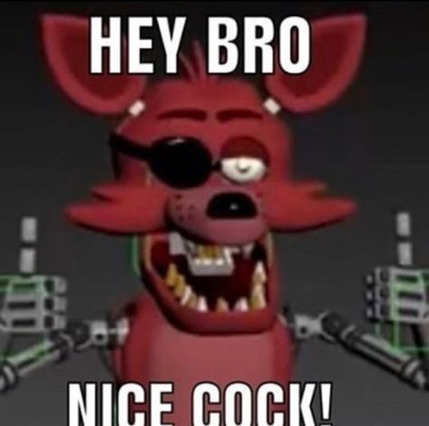 Fnaf Memes Funny, 4 Dabloons, Foxy The Pirate Fox, Foxy The Pirate, Funny Fnaf, Fnaf Meme, Hey Bro, Goofy Pictures, Fnaf Memes