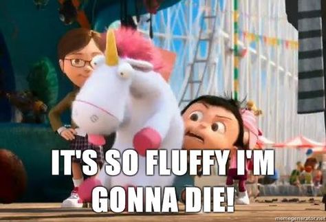 It's so fluffy, I'm gonna die! Despicable Me Its So Fluffy, Funny Movie Memes, Best Movie Lines, Movie Memes, Movie Lines, Minions Funny, Funny Movies, Despicable Me, A Unicorn