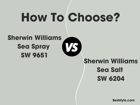 Sherwin Williams Sea Salt Exterior House, Sw 6204 Sea Salt, Oyster Bay Vs Sea Salt, Sea Salt Sherwin Williams Bedroom Decor, Sherwin Williams Sea Spray, Sea Salt Sherwin Williams Cabinets, Sw Sea Salt Bedroom, Sea Spray Sherwin Williams, Sea Salt Nursery