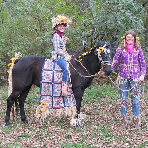 From The Pony Habit on FB Costume For Horse, Horse Halloween Costumes, Horse Halloween, Tanger Outlets, Horse Costume, Scarecrow Costume, Horse Costumes, Christmas Parade, Halloween Costume Contest