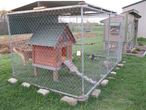 Dog Pen Chicken Coop Ideas, Dog House To Chicken Coop, Dog House Chicken Coop, Dog Pen Outdoor, Roof Idea, Portable Dog Kennels, Cheap Dog Kennels, Rabbit Pen, Cheap Chicken Coops