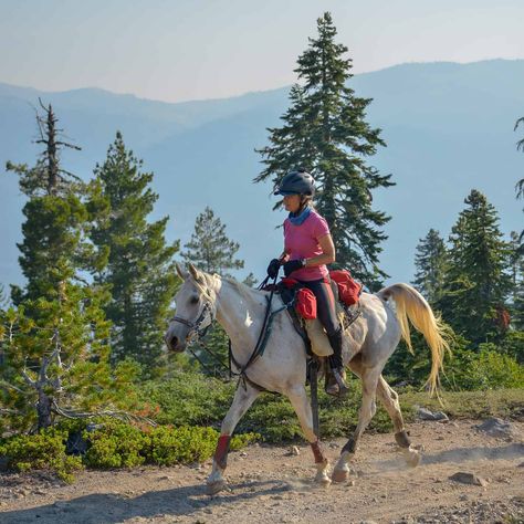 Find out how Claire Godwin, DVM, keeps her 27-year-old endurance horse PL Mercury in elite condition, from joint support to conditioning tactics. Horse Endurance Riding, Cute Horse Riding Outfits, Shagya Arabian, Endurance Horse, Performance Ideas, Endurance Riding, Horse Art Drawing, Horse Magazine, Horse Story