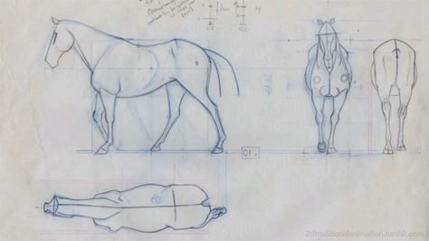 tumblr_o4qz3v1dO91rc3pqko1_500.gif (500×281) Horse Animation, Pencil Test, Horse Anatomy, Animation Sketches, Horse Drawing, Animation Tutorial, Hur Man Målar, Horse Drawings, Animation Reference