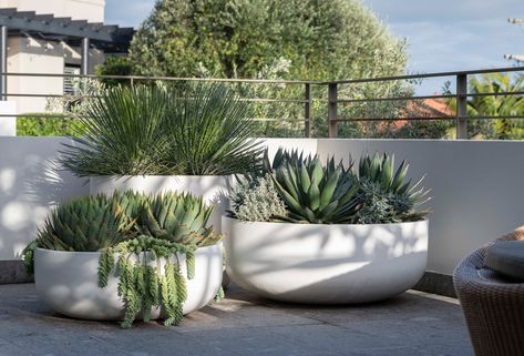 Organic, low bowls in a range of sizes to suit many uses. Garden Pots Ideas Outdoor Planters, Garden Pots Ideas, Pots Ideas, Planters Diy, Large Outdoor Planters, Potted Plants Outdoor, Patio Planters, Outdoor Pots, Planter Ideas