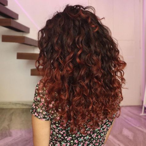 Mahogany Ombre on Long Curly Hair Mahogany Hair Color Curly, Brown Red Balayage Curly Hair, Red Curly Hair Balayage, Curly Mahogany Hair, Red Balayage On Curly Hair, Dark Red Balayage Curly Hair, Brownish Red Hair Curly, Curly Hair Color Inspiration, Auburn Balayage Curly Hair