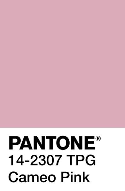 Pink Pantone, Pink Salem, Material Board, Pink Palette, Very Berry, Photo Edits, Packaging Designs, Custom Packaging, Pantone Color