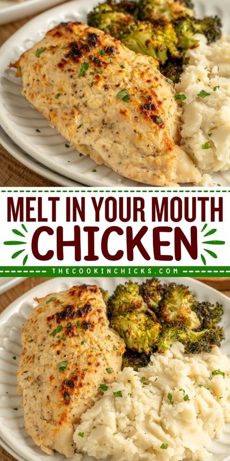 This Melt in your Mouth Chicken recipe comes together using only 6 simple ingredients. Boneless chicken breasts covered in a creamy Parmesan sauce and baked until perfectly juicy and tender! A quick and easy dinner option that is perfect for busy weeknights or lazy weekends! Quicken Chicken Recipes, Main Dishes For Dinner Chicken, Cheap Chicken Recipes Budget, Baked Chicken Meal Ideas, Popular Meals Dinners, Chicken Recipes Baked Easy, Easy Chicken Recipes In Oven, Easy Pan Chicken Recipes, Two Chicken Breast Recipes