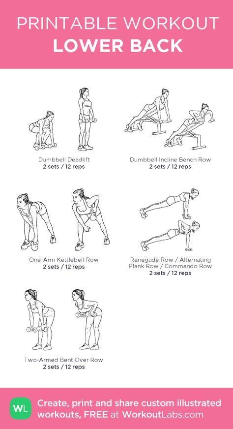 Week 1 & 2 (LOWER BODY): LOWER BACK Lower Back And Hip Workout, Lower Back Strength Workout, Gym Lower Back Workout, Upper And Lower Back Workouts, Lower Back Weight Workout, Lower Back Workout Dumbell, Dumbbell Lower Back Workout, Lower Back Exercises Gym, Lower Body Workout At Home Dumbbell