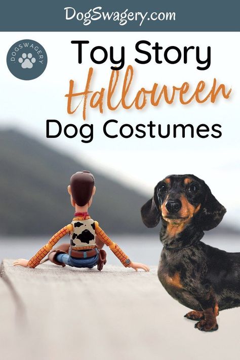 To infinity and beyond! These Disney Toy Story Costumes for Dogs will give you a good laugh. You've got a friend with your dog in these costumes. #dogswagery #dogcostumes #toystory Toy Story Dog Costume, Disney Dog Costume, Jessie Toy Story Costume, Dog Swag, Costumes For Dogs, Toy Story Slinky, Woody Costume, Toy Story Halloween, Dino Costume