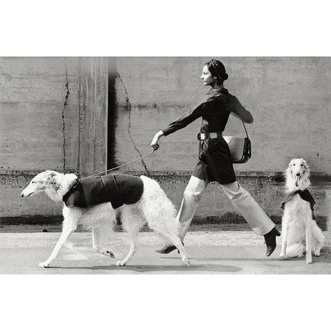 Norman Parkinson photo of Chandrika walking a dog for Vogue, July 1970. Old Money Dog, Dog Photoshoot Pet Photography, Dog Walking Outfit, Walking A Dog, Norman Parkinson, Human Photography, Year Of The Dog, Fashion 1970s, Dog Poses