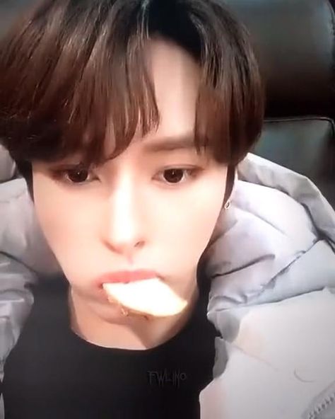 cr. fwlino on tiktok [ #leeknow #leeknowedit ] Minho Fancam, Fancam Veriyorum, Homeless Children, Lee Min, Lee Min Ho, My Only Love, Lee Know, Korean Singer, Baby Photos