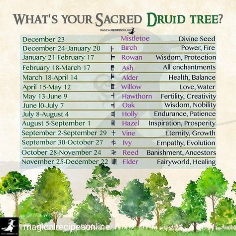 Mad_as_the_Hatter (Alice) on Instagram: “Credit to @magicalrecipesonline : What’s your Tree 🌲 and its powers? Learn more in article…” Druid Symbols, Celtic Druids, Which Witch, 2 September, Magical Tree, August Born, Sacred Tree, Mind Body Spirit, Online Magazine