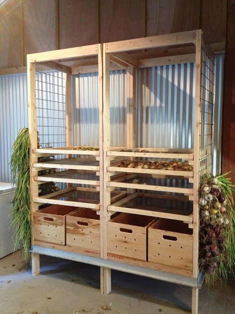 Root Cellar Storage Ideas, Greenhouse Storage Ideas, Homestead Pantry, Homestead Projects, Root Cellars, Garden Construction, Well House, Onion Storage, Koti Diy