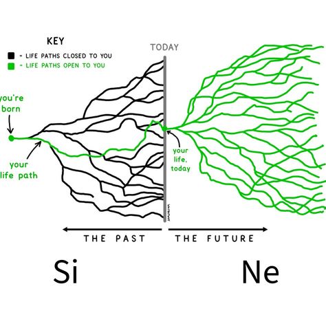 Comparison between Si and Ne cognitive functions  #mbti credits to Tim Urban Intp Cognitive Functions, Infp Cognitive Functions, Ne Function, Mbti Cognitive Functions, Tim Urban, Infp Functions, Cognitive Functions Mbti, Mbti Enneagram, Mbti Functions