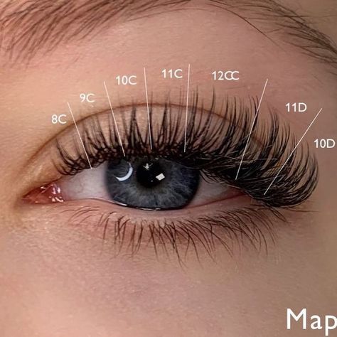 Eyelash Extensions Classic, Natural Fake Eyelashes, Lash Tips, Lashes Fake Eyelashes, Eyelash Tips, Eyelash Technician, Gene False, Cat Eye Lash, Lash Extensions Styles