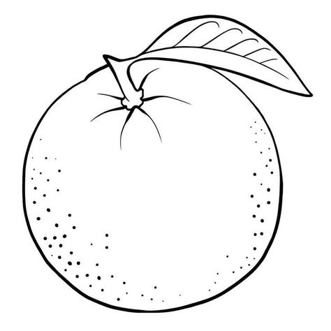 Oranges Coloring Page, Orange Coloring Page, Fruit Template, Colouring Worksheets For Kids, Orange Drawing, Orange Printable, Fruit Coloring Pages, Fruit Orange, Farm Animal Coloring Pages