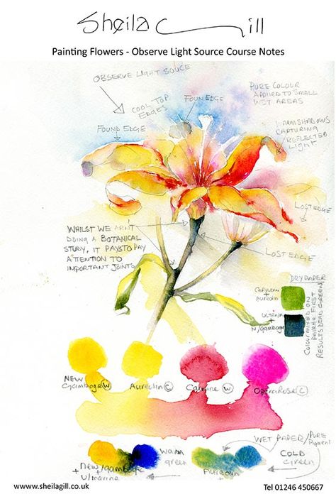 Colour and Light in Watercolour - Google Search Marney Ward, Watercolor Lily, Watercolor Mixing, Watercolor Tips, Watercolor Journal, Watercolor Lessons, Watercolor Painting Techniques, Class Notes, 수채화 그림