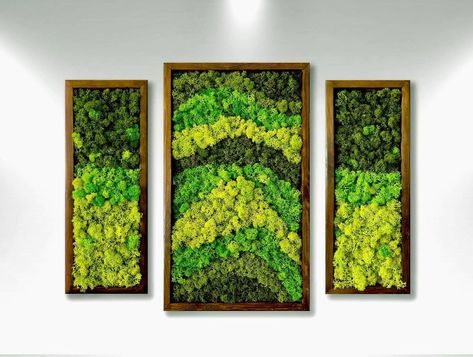 PRICES MAY VARY. Real Moss Coating: Our wall art is meticulously crafted with real moss, bringing the natural beauty of the outdoors into your home. Low Maintenance: No upkeep required! With the natural allure of live plants, this wall art revitalizes your space without the hassle of maintenance. Ecological and Nature-Friendly: Crafted with sustainable materials, this wall art provides an eco-friendly option while enhancing your room with a touch of natural greenery. Contemporary Design: The mos Moss Pattern, Moss Wall Decor, Pattern Wall Art, Green Wall Decor, Moss Wall Art, Moss Art, Nature Friendly, Preserved Moss, Moss Wall