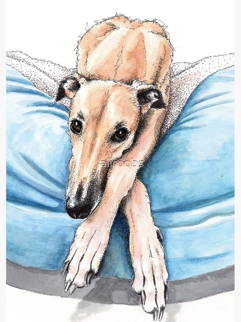 Grey Hounds, Greyhound Tattoo, Greyhound Dogs, Dogs Painting, Lovely Pic, Sight Hounds, Blue Bed, Greyhound Art, Dane Dog