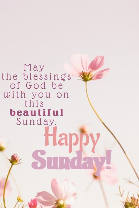 Happy Sunday And New Week, Sunday Blessings Inspiration Faith, Sunday Greetings Good Morning, Sunday Blessings Inspiration Scriptures, Happy Sunday Greetings, Happy Sunday Wishes, Good Morning Sunday Wishes, Sunday Blessings Inspiration, Sunday Good Morning Wishes