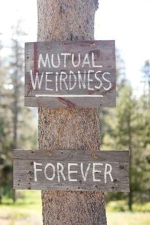 mutual weirdness wedding signage Cleveland Photography, Creative Wedding Sign, Funny Wedding Signs, Mutual Weirdness, Halloween Decor Diy, Cleveland Wedding, Theme Halloween, Halloween Cupcakes, Valley Wedding