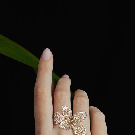 Pasquale Bruni on Instagram: "A tribute to feminine worlds full of passion. Flowers, leaves and butterflies shimmer on your hands bringing precious magic on your skin. #giardinisegretiPB #act1 #pasqualebruni" Pasquale Bruni, Indian Wedding Jewelry, Indian Wedding, Wedding Jewelry, Bring It On, Skin, Flowers, Instagram