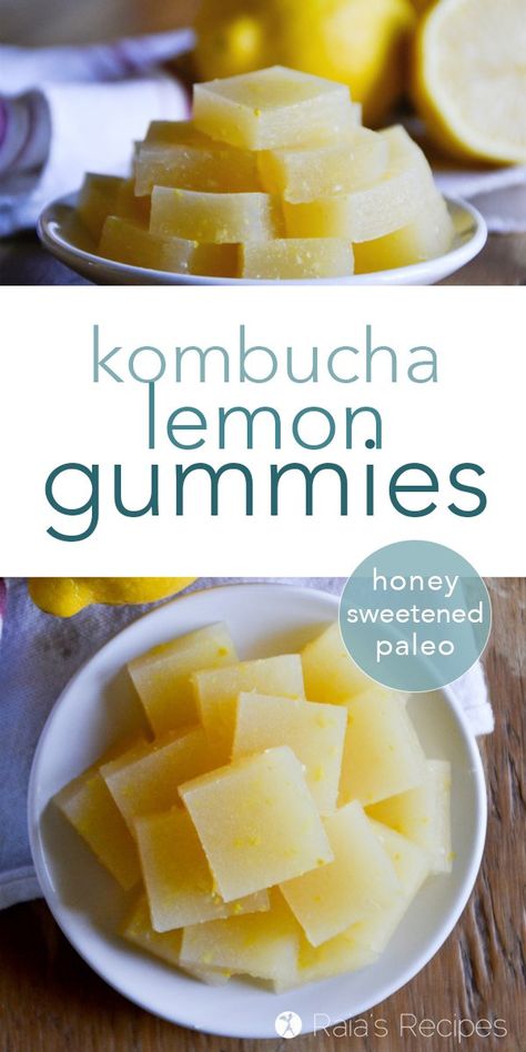 Lemon Gummies, Healthy Gummies, Kombucha Flavors, Kombucha Recipe, Homemade Kombucha, Fermentation Recipes, Probiotic Foods, Healthy Treat, Paleo Snacks