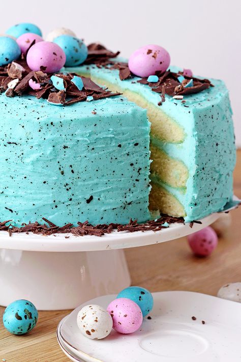 Speckled Egg Easter Cake - just a perfect Easter dessert.. Easter Mini Cheesecakes, Mini Easter Desserts, Christmas Cheesecake, Easter Egg Candy, Chocolate Fan, Holiday Dishes, Speckled Eggs, Cheese Chicken, Egg Easter