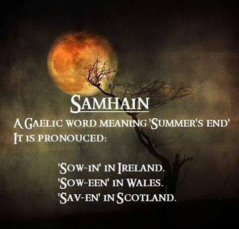 Samhain Gaelic Words, Samhain Halloween, Inverness, Samhain, End Of Summer, Hallows Eve, Book Of Shadows, Wonderful Time, The Words