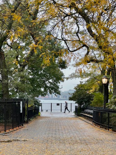 Brooklyn Heights Promenade Brooklyn Heights Promenade, Autumn In New York, Brooklyn Heights, Brooklyn, New York, Plants