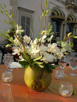 Coconut centerpiece- Pre-Wedding Dinner Tropical Table Arrangements, Beach Bridal Shower Centerpieces, Tropical Table, Tropical Centerpieces, Tropical Floral Arrangements, Tropical Flower Arrangements, Beach Bridal Showers, Tropical Bridal Showers, Tropical Bridal