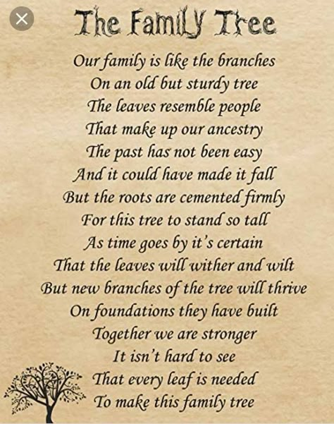 Family Tree Poem, Family Quotes Memories, Family Reunion Quotes, Family Tree Quotes, Genealogy Quotes, Family History Quotes, Tree Poem, Family Tree Ideas, Genealogy Organization