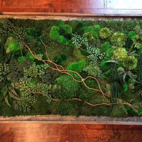 We create zero maintenance plant & moss by PlantedDesign on Etsy Mos Wand, Moss Decor, Moss Plant, Fleur Orange, Birch Branches, Moss Wall Art, Custom Wall Decor, Moss Art, Preserved Moss