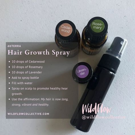 Hair Growth After Chemo, Rosemary Oil For Hair, Hair Growth Spray, Doterra Essential Oils Recipes, Essential Oil Spray, Essential Oils Guide, Cedarwood Oil, Cedarwood Essential Oil, Essential Oils For Hair