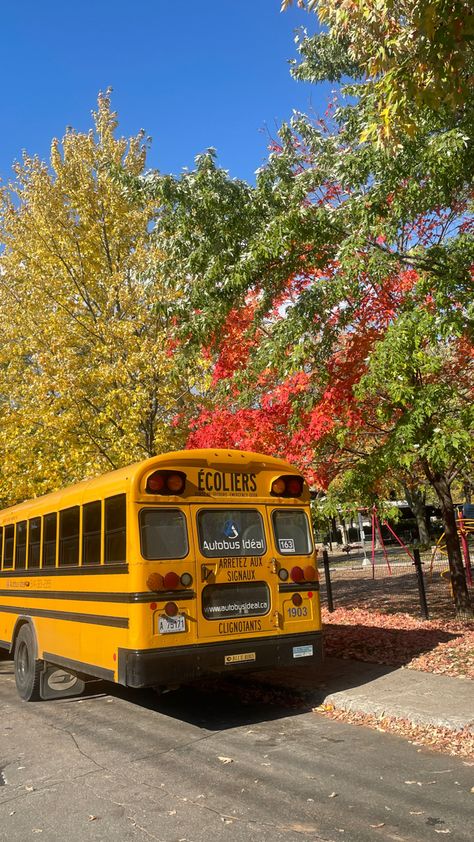 School Bus Aesthetic, Yellow Aesthetic Vintage, Autumn In Canada, October Season, Bus Aesthetic, Canada Autumn, Bus School, Yellow School Bus, Aesthetic Yellow