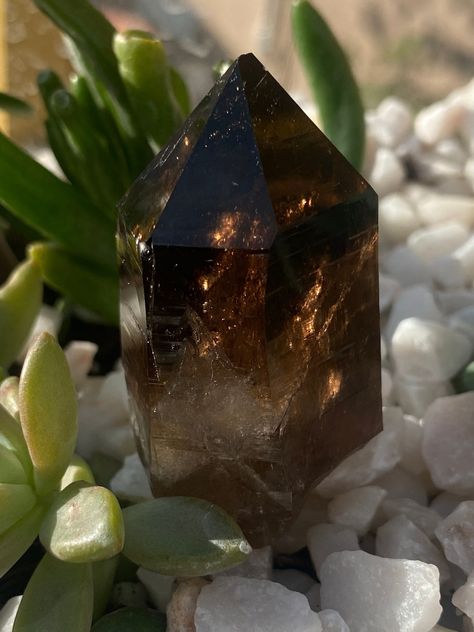 Switzerland Smokey Quartz Crystal  Amazing size and price for these piece such a remarkable piece for the collection Spiritual Crystals, Pretty Rocks, Zodiac Art, Amethyst Cluster, Root Chakra, Smokey Quartz, Crystal Gems, Crystals Minerals, Minerals Crystals