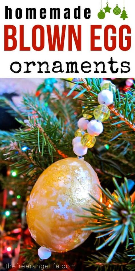 Egg Christmas Ornaments, Homestead Diy, Blown Eggs, Egg Christmas, Egg Ornaments, Holiday Traditions Family, Homemade Ornaments, Ornament Tutorial, Diy House Projects