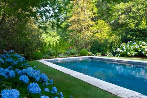 20+ Hydrangea Garden Designs, Ideas | Design Trends - Premium PSD, Vector Downloads Landscaping Around Pool, Landscaping Around House, Pool Landscape Design, Stock Tank Pool, Tank Pool, Rectangular Pool, Backyard Pool Designs, Beautiful Pools, Custom Pools