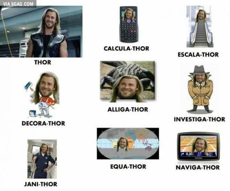 Thor and his different versions. Thor Jokes, Thor Meme, Thor Funny, Funny Names, Marvel Jokes, Marvel Memes, Avengers Assemble, Best Funny Pictures, Some People