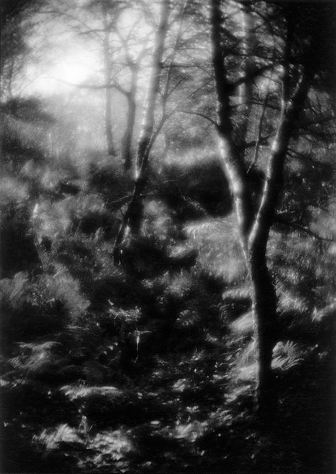 Soft Focus Photography, Medium Format Photography, Aperture Photography, Photography Sketchbook, Large Format Photography, Pinhole Photography, Focus Images, Creative Photography Techniques, Bw Photography